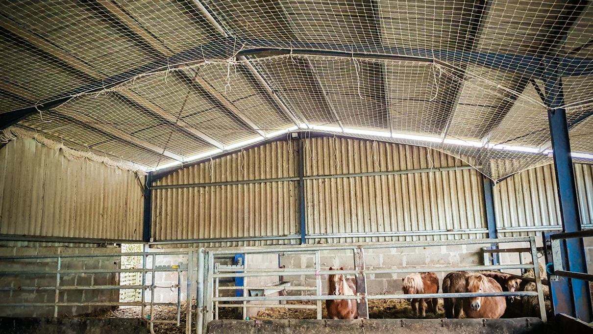 Intervention de cordistes MS Access pour un filet pas de regrets chez ORION ENERGIES à Lezignac Durand (bâtiment) – 1